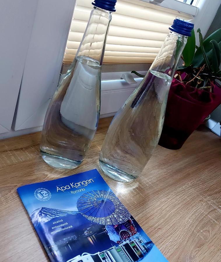 Apartament Marasesti 피테슈티 외부 사진